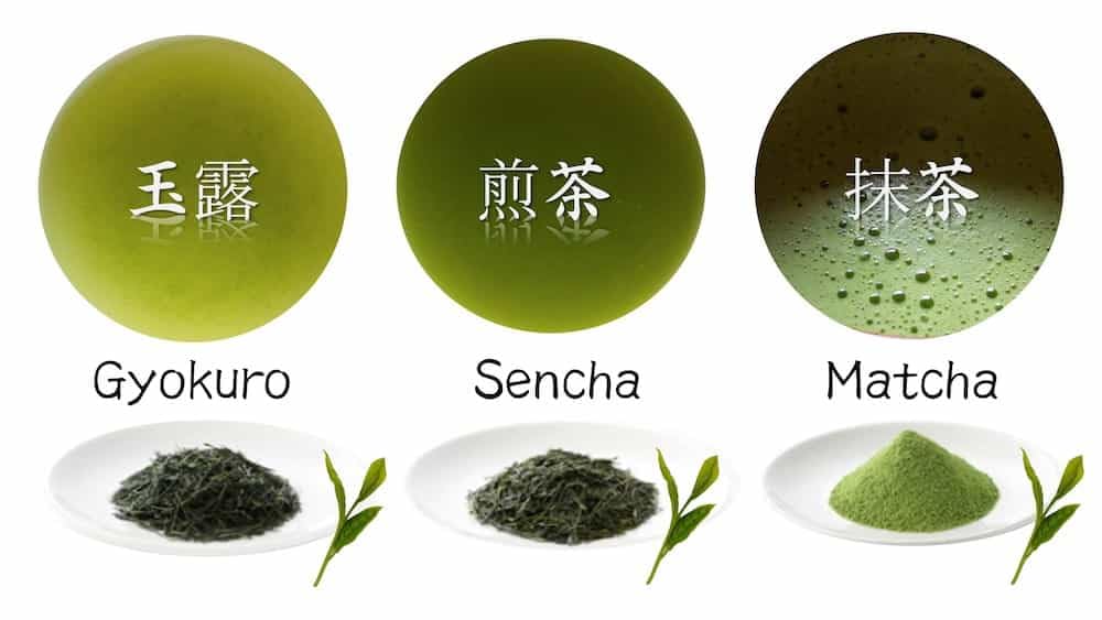 JAPAN GREEN TEA 星野 Yame Sencha by Hoshino Seichaen – Classic Japanese Green Tea (100g